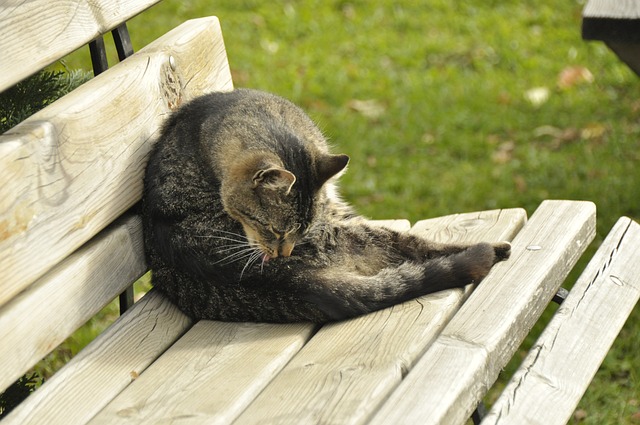 方法论本